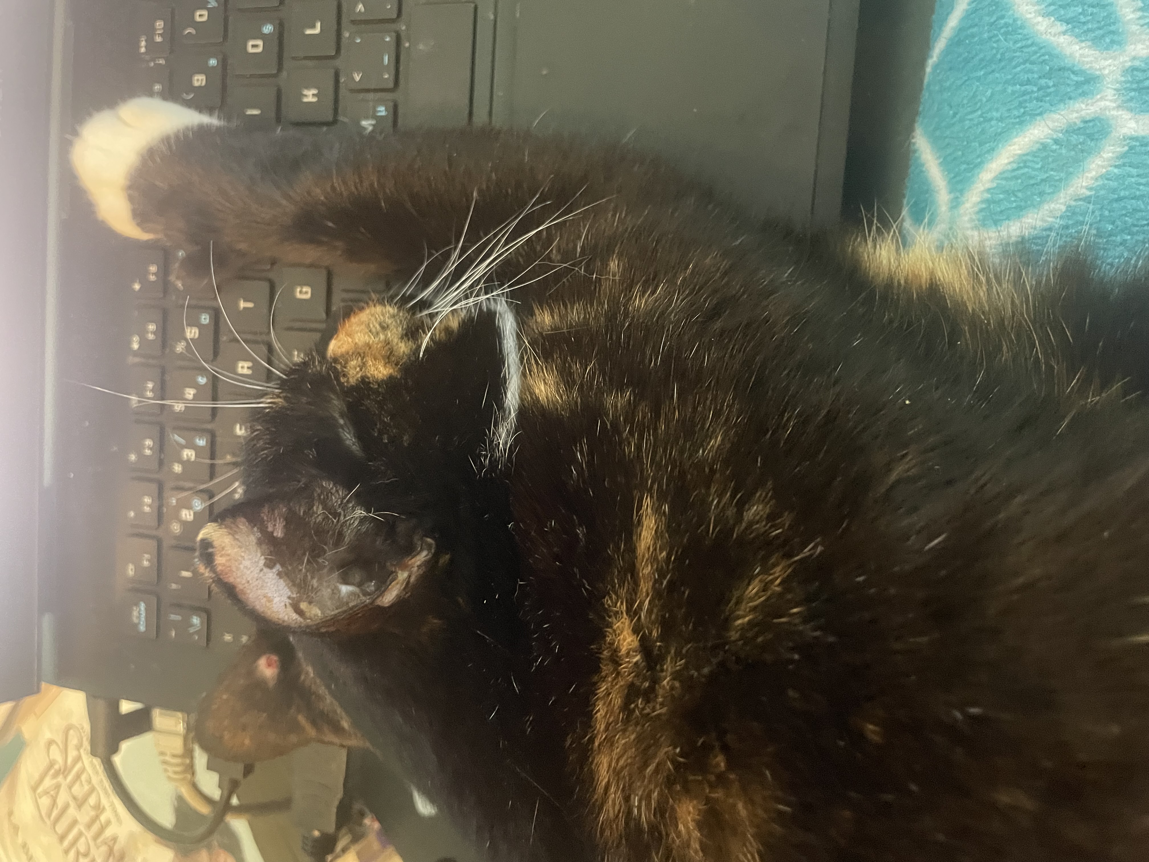 Mitaine sur le clavier